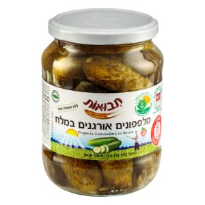 מלפפון במלח אורגני